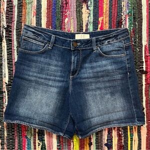 Zara Basic Dept 44 Denim Shorts - Size 12